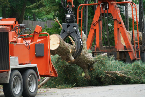 Mulching Services in Carthage, TN